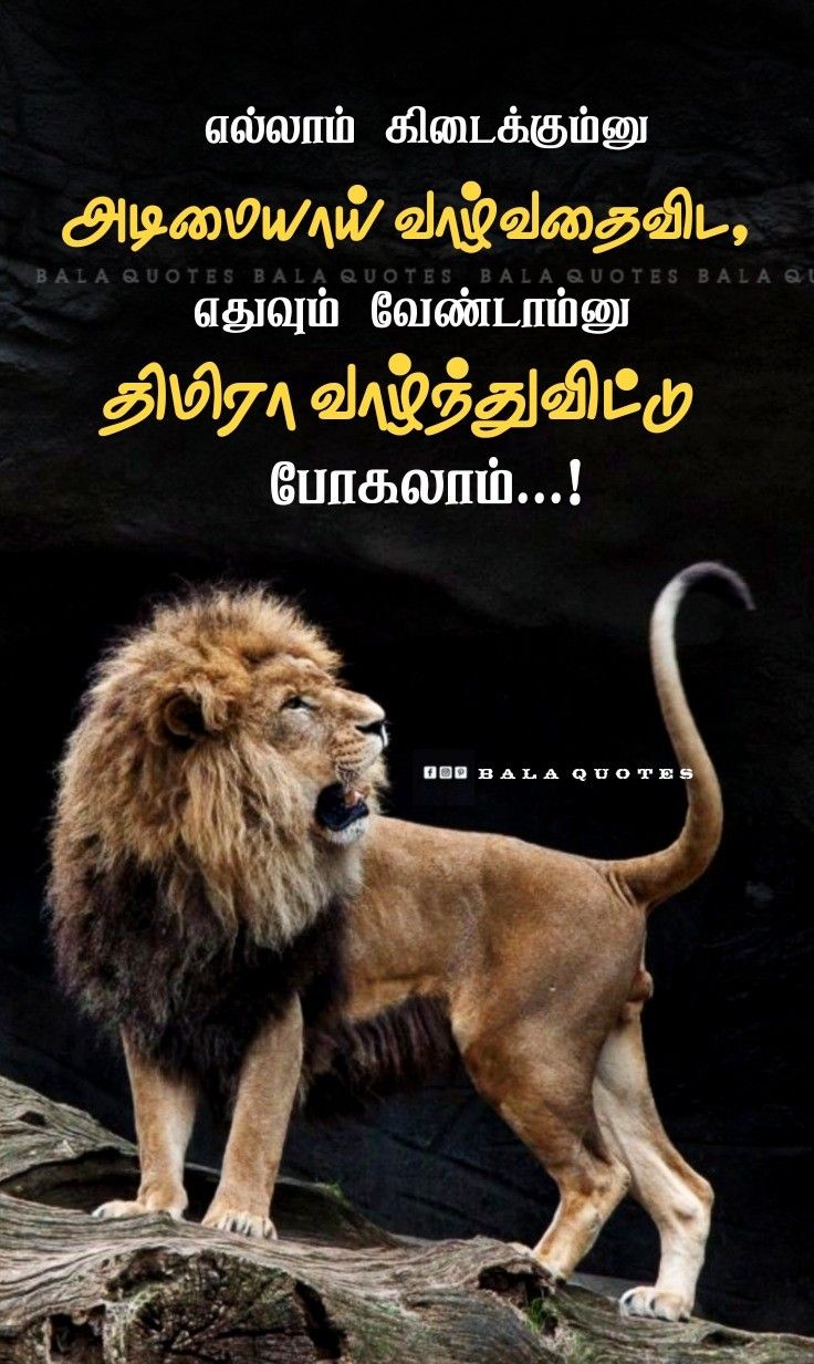 Rowdy Quotes in Tamil